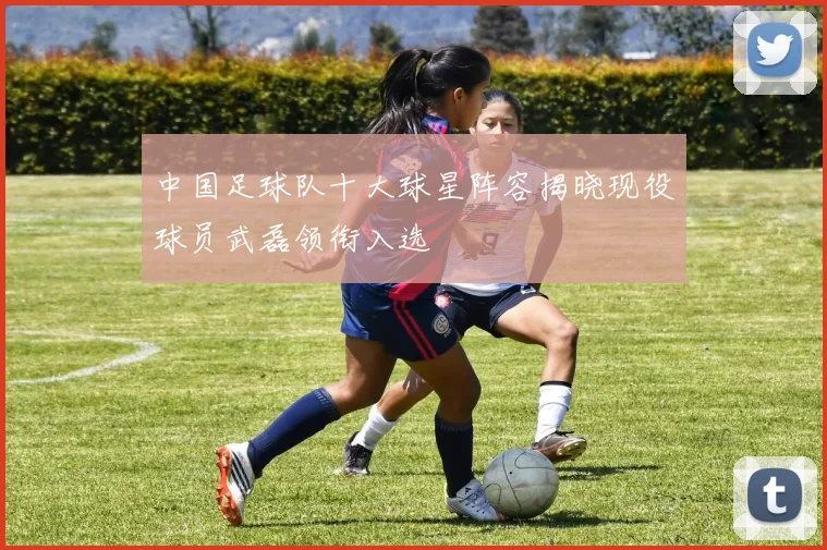 中国足球队十大球星阵容揭晓现役球员武磊领衔入选